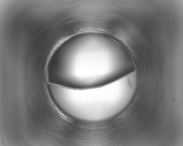 X0000066091371200603100952