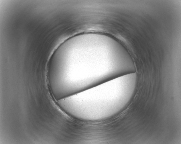 X0000066091374200603100952