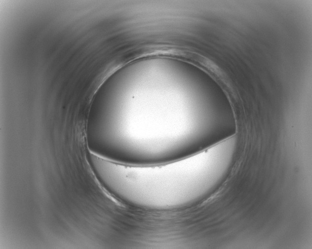 X0000066091377200603100952