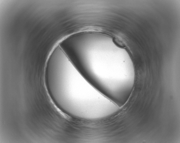 X0000066091379200603100952