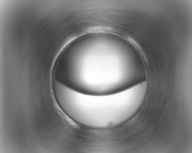 X0000066091384200603100952