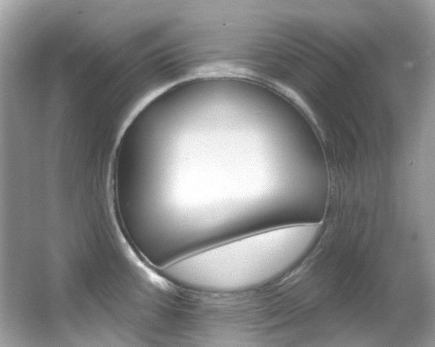 X0000066091387200603100952