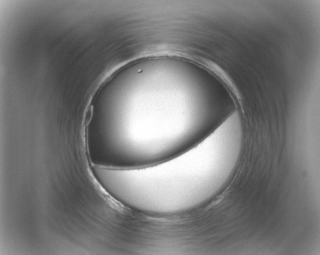 X0000066091388200603100952