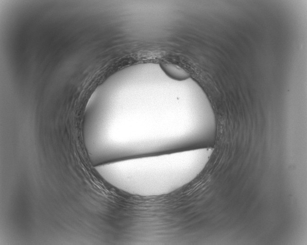 X0000066091393200603100951