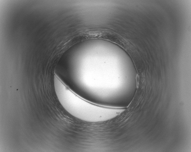 X0000066091394200603100951