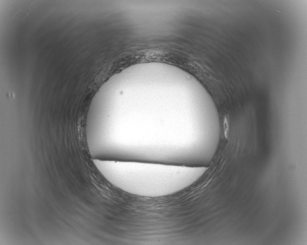 X0000066091395200603100951