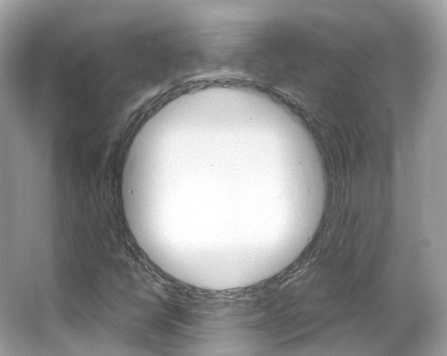X0000066091398200603100951