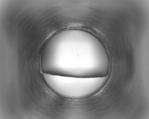 X0000066091401200603100951