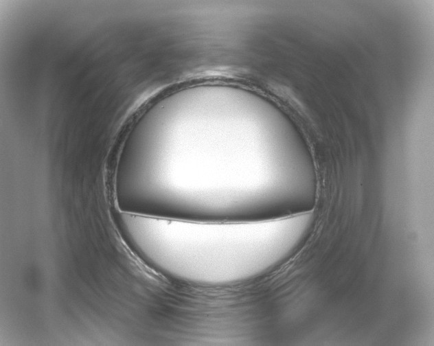 X0000066091404200603100951