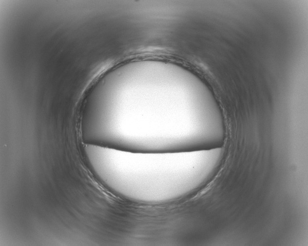 X0000066091405200603100951