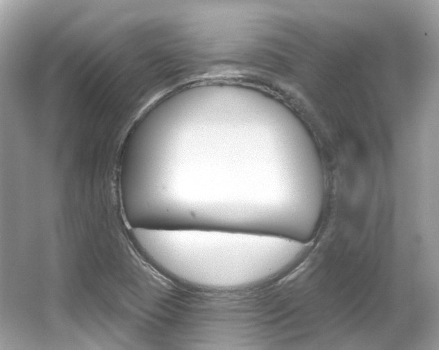 X0000066091409200603100951
