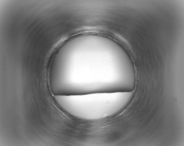 X0000066091411200603100951