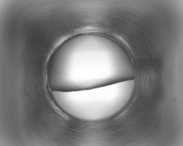 X0000066091413200603100951