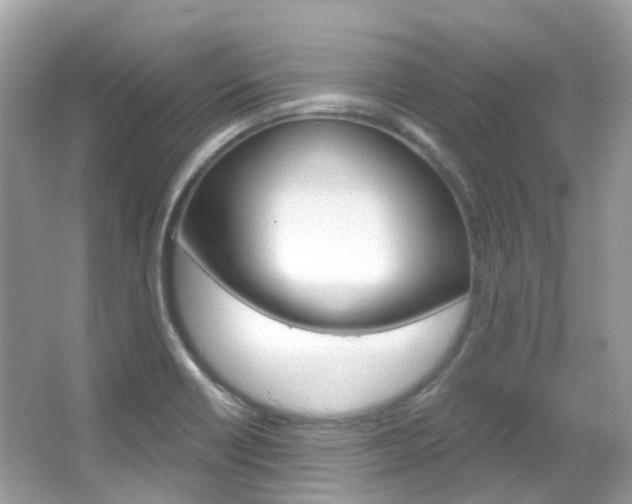 X0000066091418200603100951