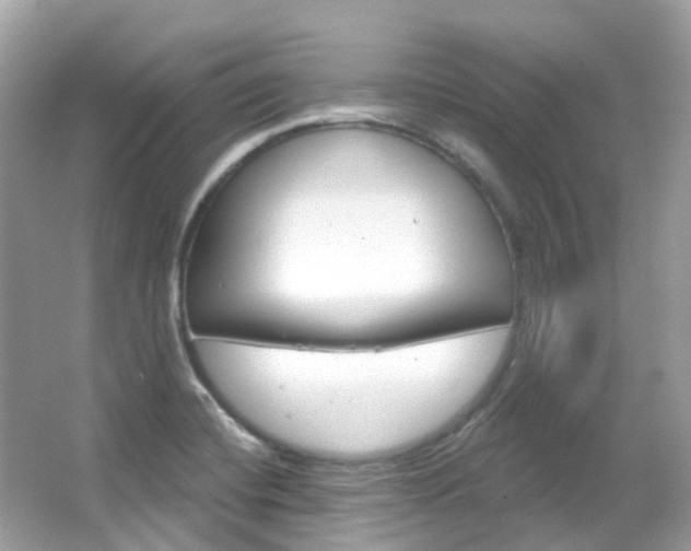 X0000066091420200603100951