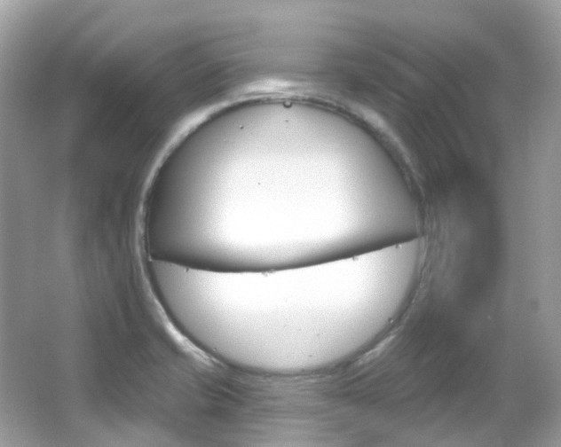 X0000066091421200603100951