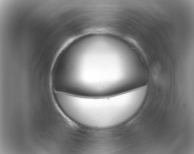 X0000066091424200603100951