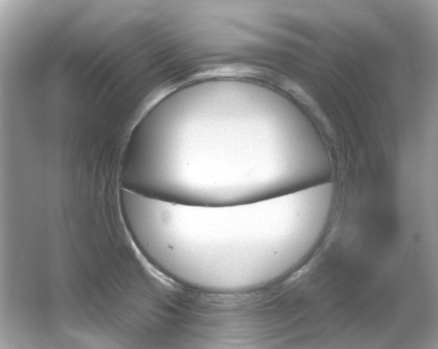 X0000066091425200603100951