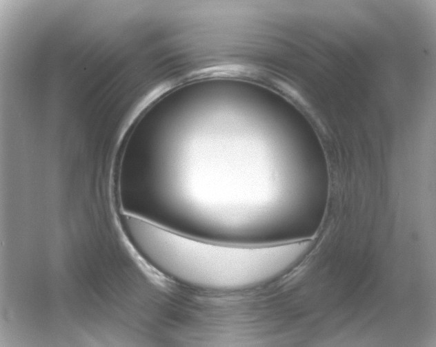 X0000066091426200603100951