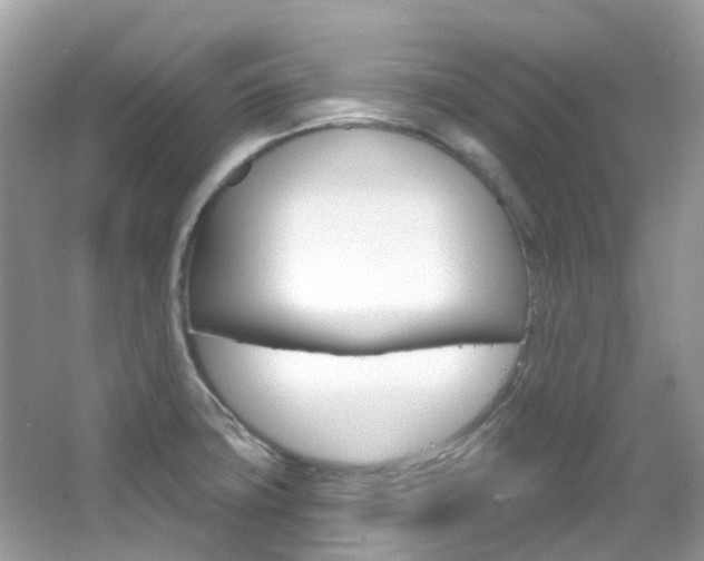 X0000066091427200603100951