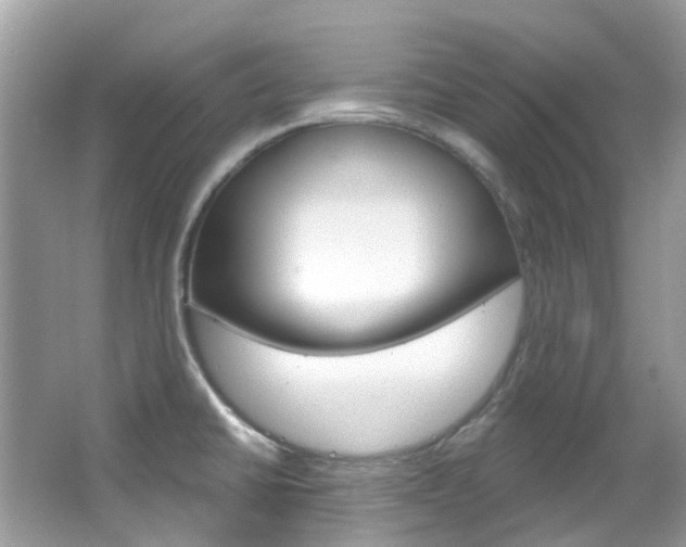 X0000066091430200603100951