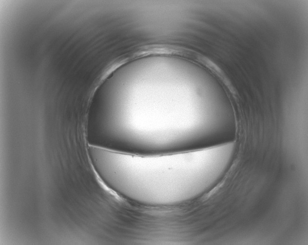 X0000066091433200603100951