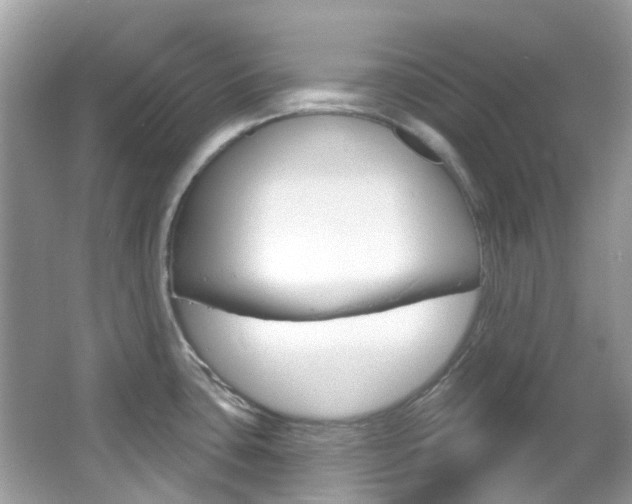 X0000066091435200603100951