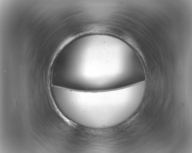 X0000066091437200603100952