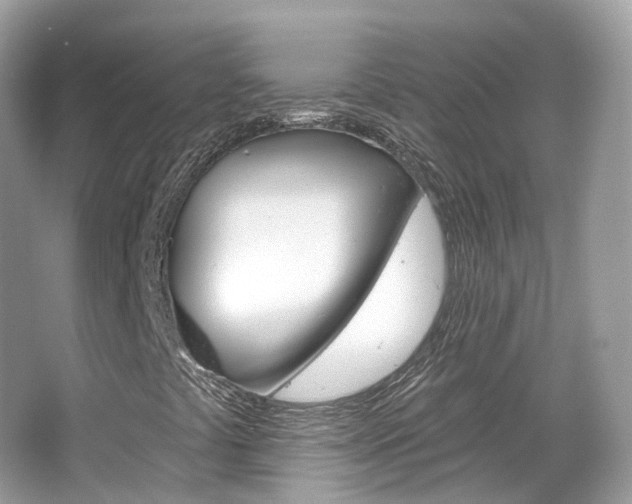 X0000066091441200603100951