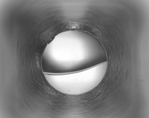 X0000066091442200603100951