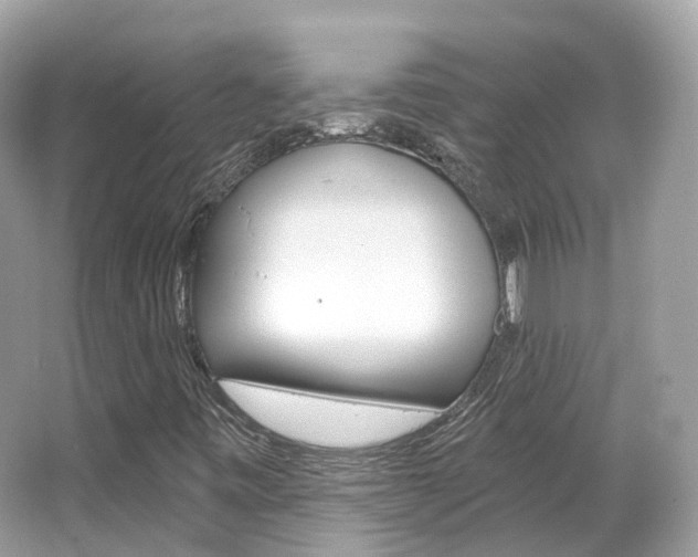 X0000066091443200603100951