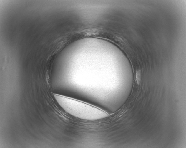 X0000066091444200603100951