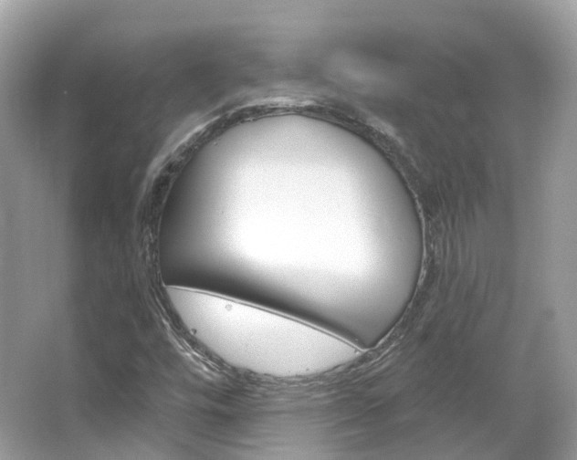 X0000066091448200603100951