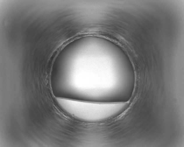 X0000066091449200603100951
