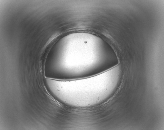 X0000066091450200603100951