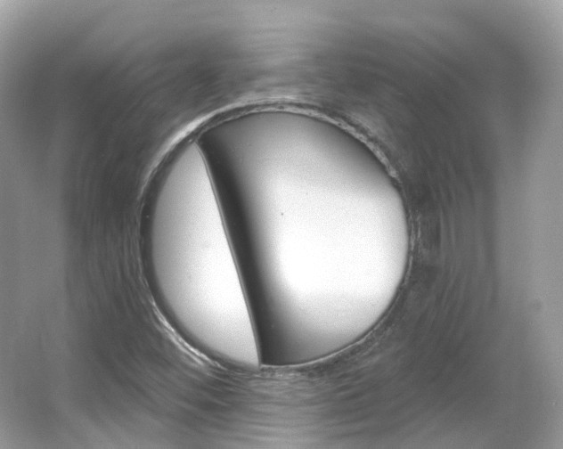 X0000066091452200603100951