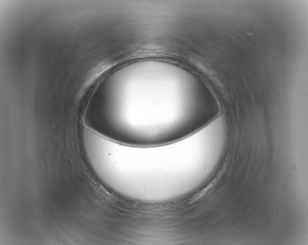 X0000066091453200603100951