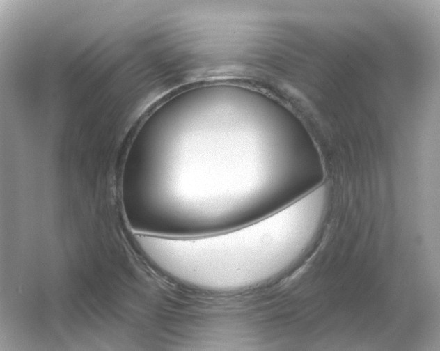 X0000066091457200603100950