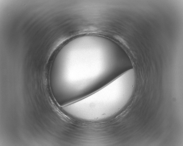X0000066091458200603100950