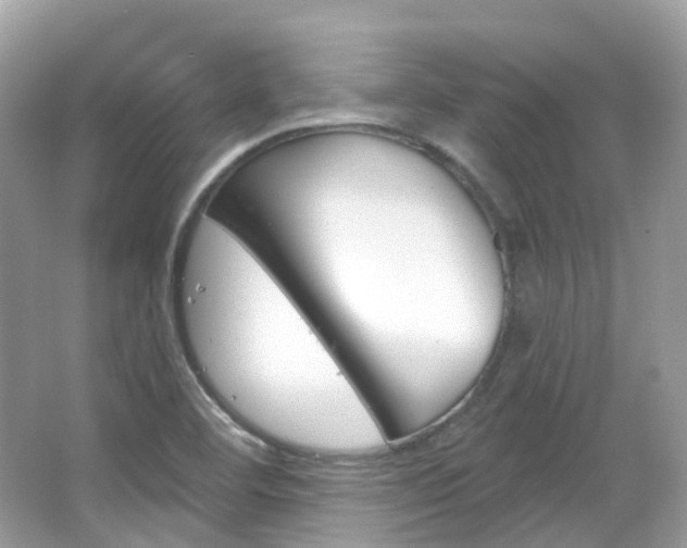 X0000066091460200603100950