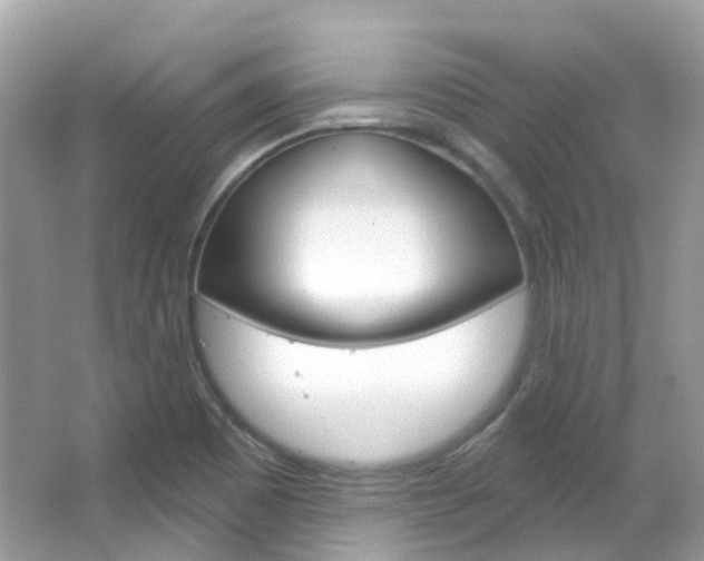 X0000066091465200603100950