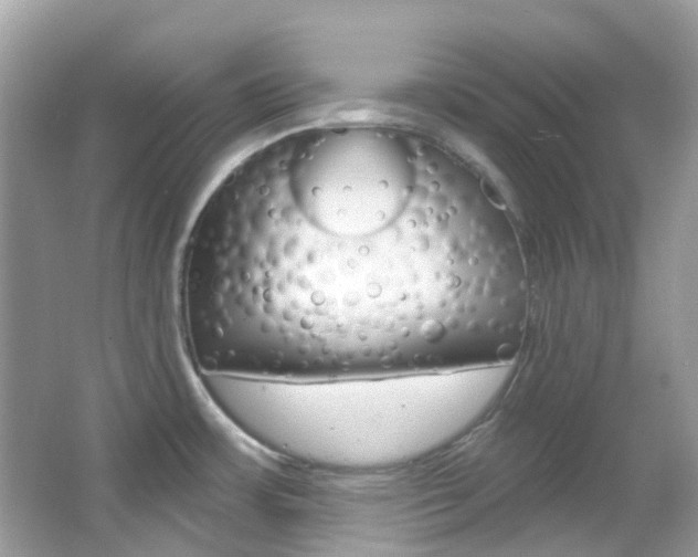 X0000066091483200603100950