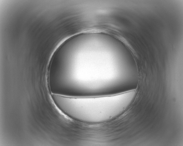 X0000066091484200603100950