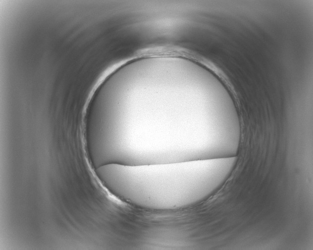 X0000066091486200603100950