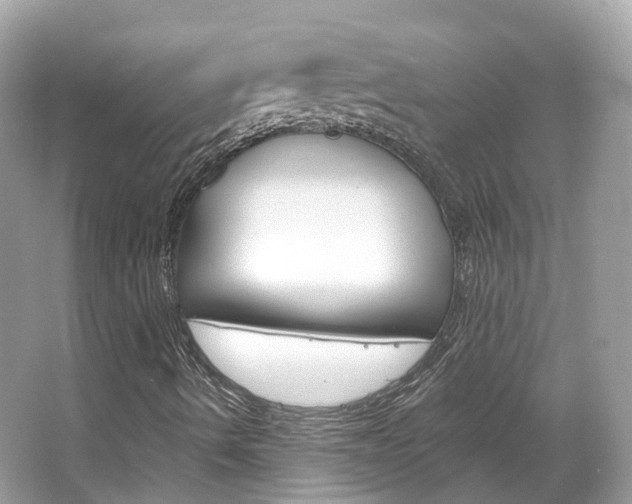 X0000066091490200603100949