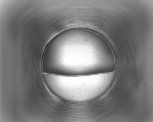 X0000066091513200603100950