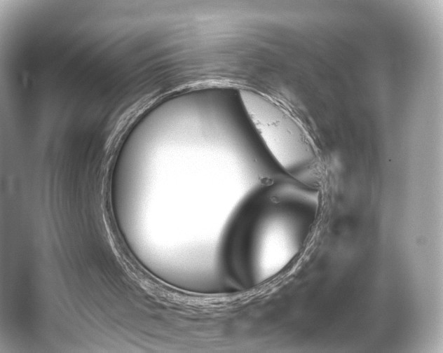 X0000066090001200603101218