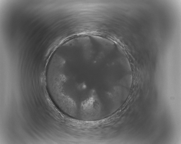 X0000066090002200603101218