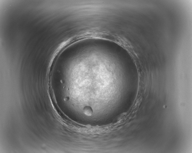 X0000066090003200603101218