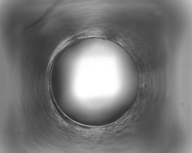 X0000066090004200603101218